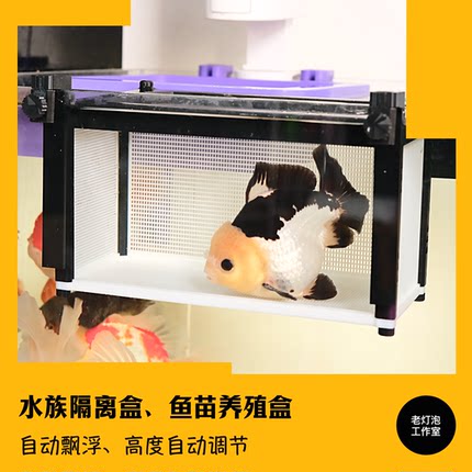 老灯泡工作室鱼苗养殖盒水族隔离盒自动漂浮