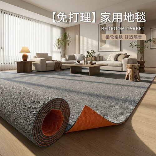 地毯大面积全铺家用卧室客厅房间整铺地垫办公室出租屋满铺免打理