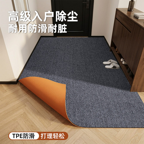 玄关入户地垫室内进门口耐脏免洗吸水防滑脚垫门垫可自由裁剪地毯