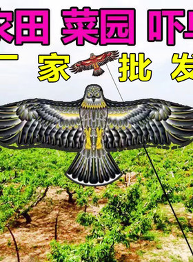 老鹰风筝吓鸟老鹰风筝