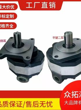 液压油泵CBFC10/16/20/25/32/40/50/63高压齿轮泵液压站总配件