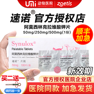 速诺消炎片猫治疗猫鼻支猫咪感冒药阿莫西林克拉维酸钾宠物消炎药