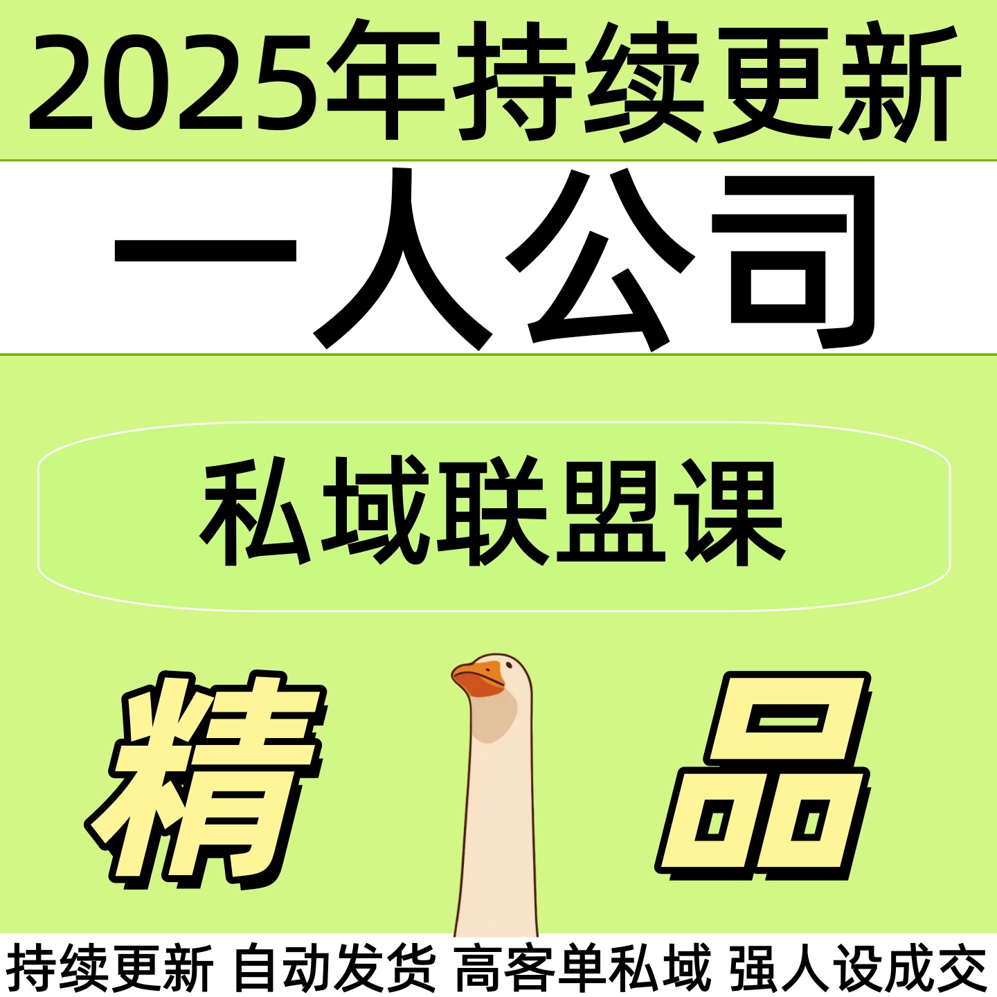 2025一人公司私域联盟高客单强人设成交全套视频精讲教学课程项目