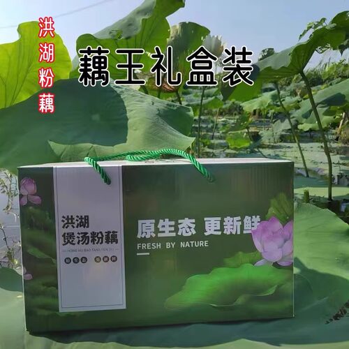 送礼佳品洪湖煲汤粉藕精品藕王装