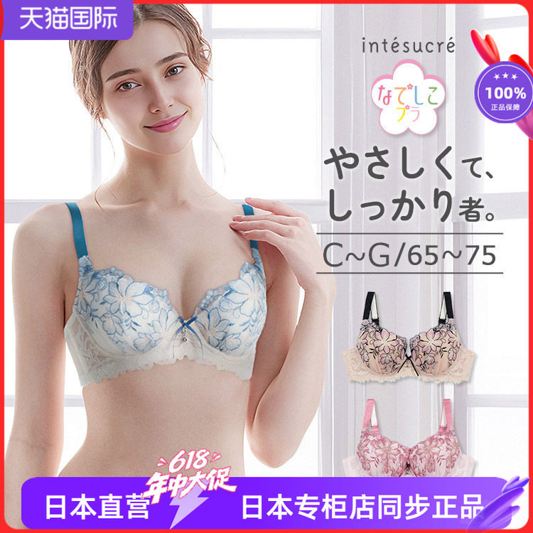 日本安秀丽甜美刺绣少女薄款聚拢文胸 蕾丝边性感舒适小胸内衣384