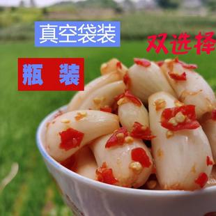 藠头四川新鲜麻辣下饭菜叫头开胃菜咸菜嚼头泡菜茭头大头菜丝袋装