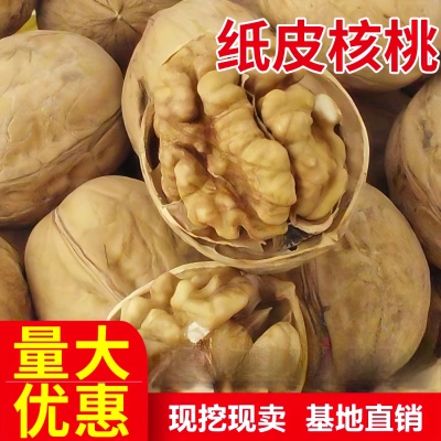 新疆嫁接当年结果核桃树苗包邮