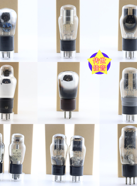 英国506K/DEP410/PV495/V5/S-130/PM4/PM5/IW4/350/10E/305电子管