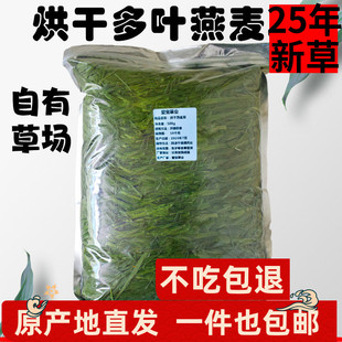 新5A烘干燕麦草兔子草龙猫荷兰猪豚鼠粮食饲料磨牙牧草干草岷县