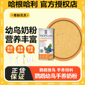 进口哈根哈利鹦鹉雏鸟奶粉幼鸟宝宝BB易消化手养鸟食物饲料鸟奶粉