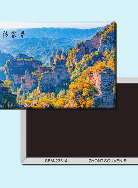 湖南张家界旅游纪念品磁性冰箱贴磁贴简约创意家居装饰贴纸23314