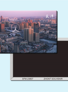 天津旅游纪念品磁性冰箱贴磁贴磁铁个性创意家居装饰贴纸23807
