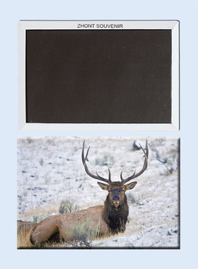 卡通北欧 挪威 雪景中的麋鹿 磁性冰箱贴  家居磁铁22287个性创意