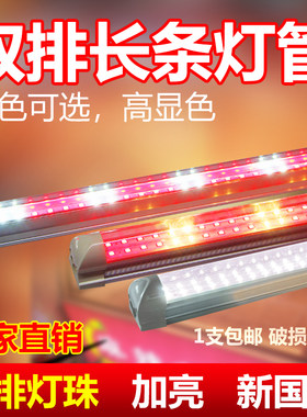 暖光红黄红白超亮照明灯