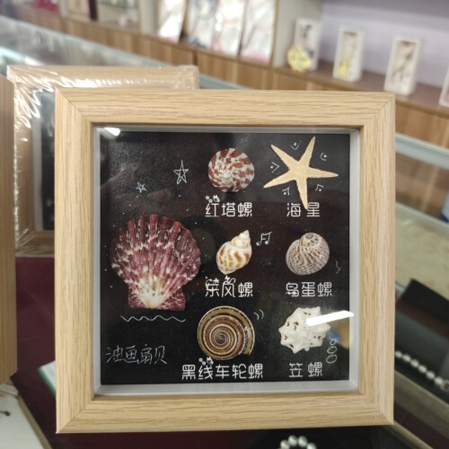 北戴河天然贝壳海螺相框桌面摆件