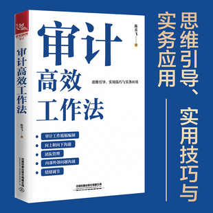 【正版新书】审计高效工作法陈英飞中小企业内部高级审计理论与实务内部审计实务统计学概论基础商务与经济责任统计学案例准则书籍