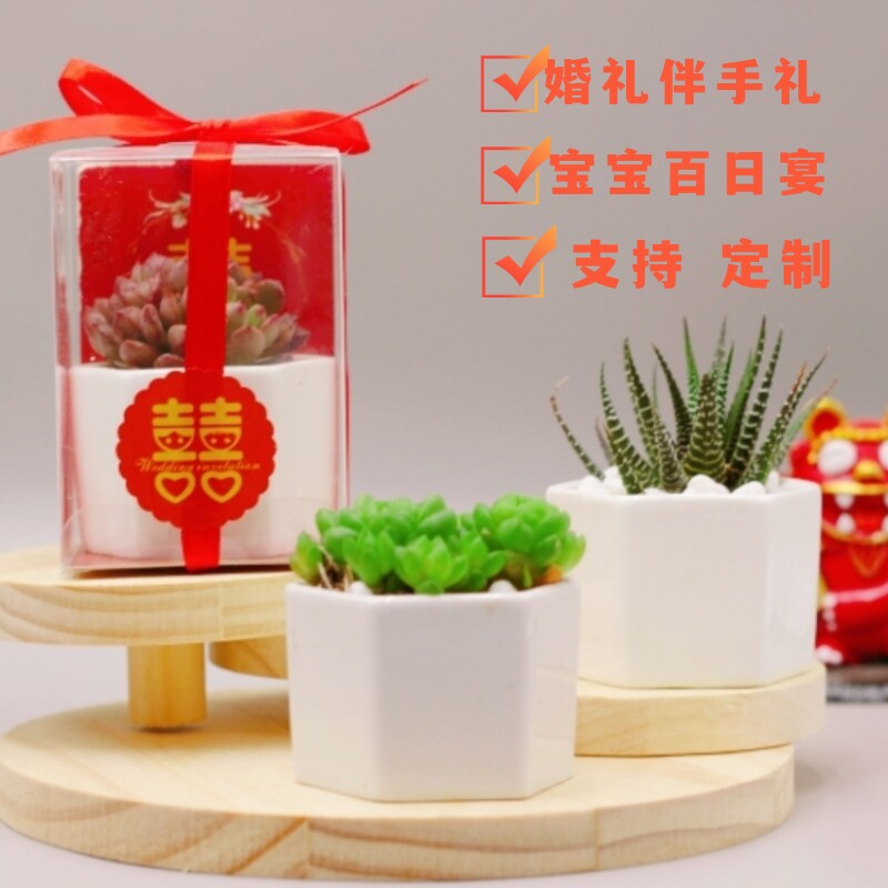 多肉植物伴手礼定制礼盒