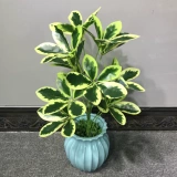 12 -Главные зеленая утка копыта деревянная осенняя утка копыта деревянная ручка ручки пары симуляционного цветочного свадебного растения Стена зеленые растения украшают поддельные цветы