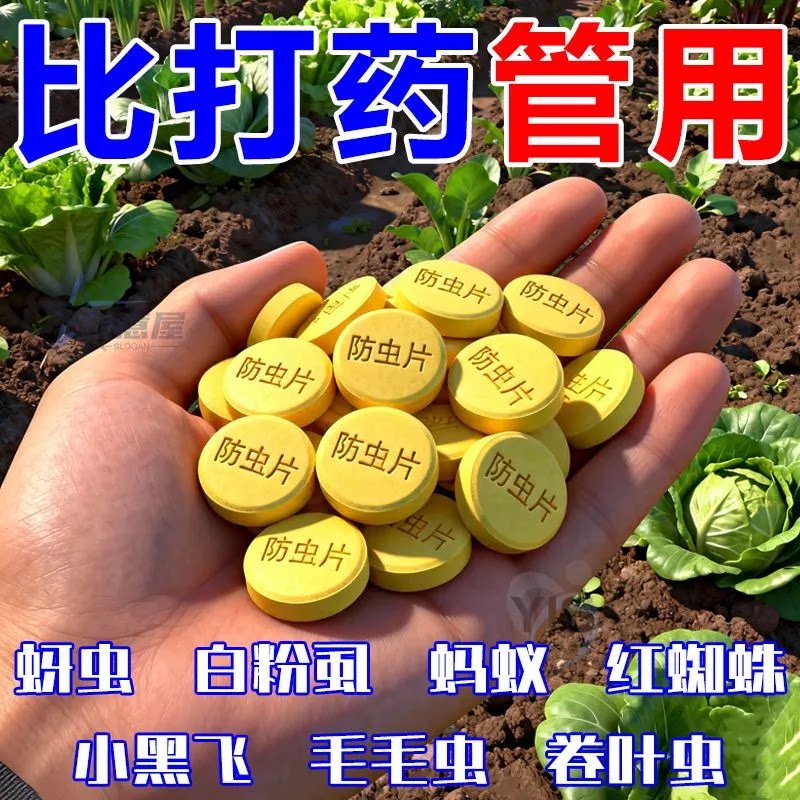 防虫片防霉防蛀片蔬菜水果储存防虫白粉虱蚜虫蚂蚁专用防虫害虫