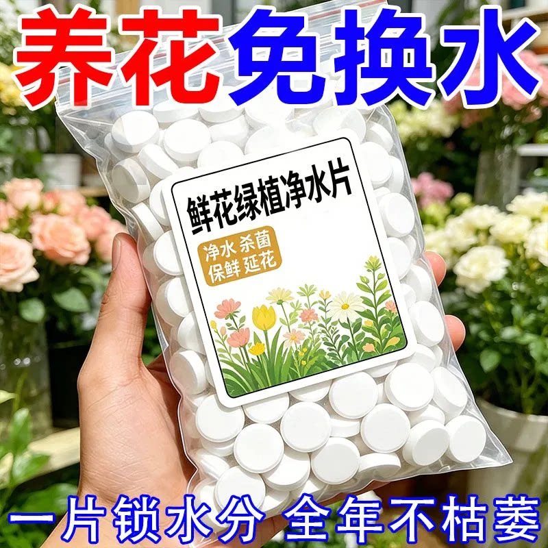 鲜花绿植净水片一片锁水全年不枯萎净化水质除臭养花专用园艺用品