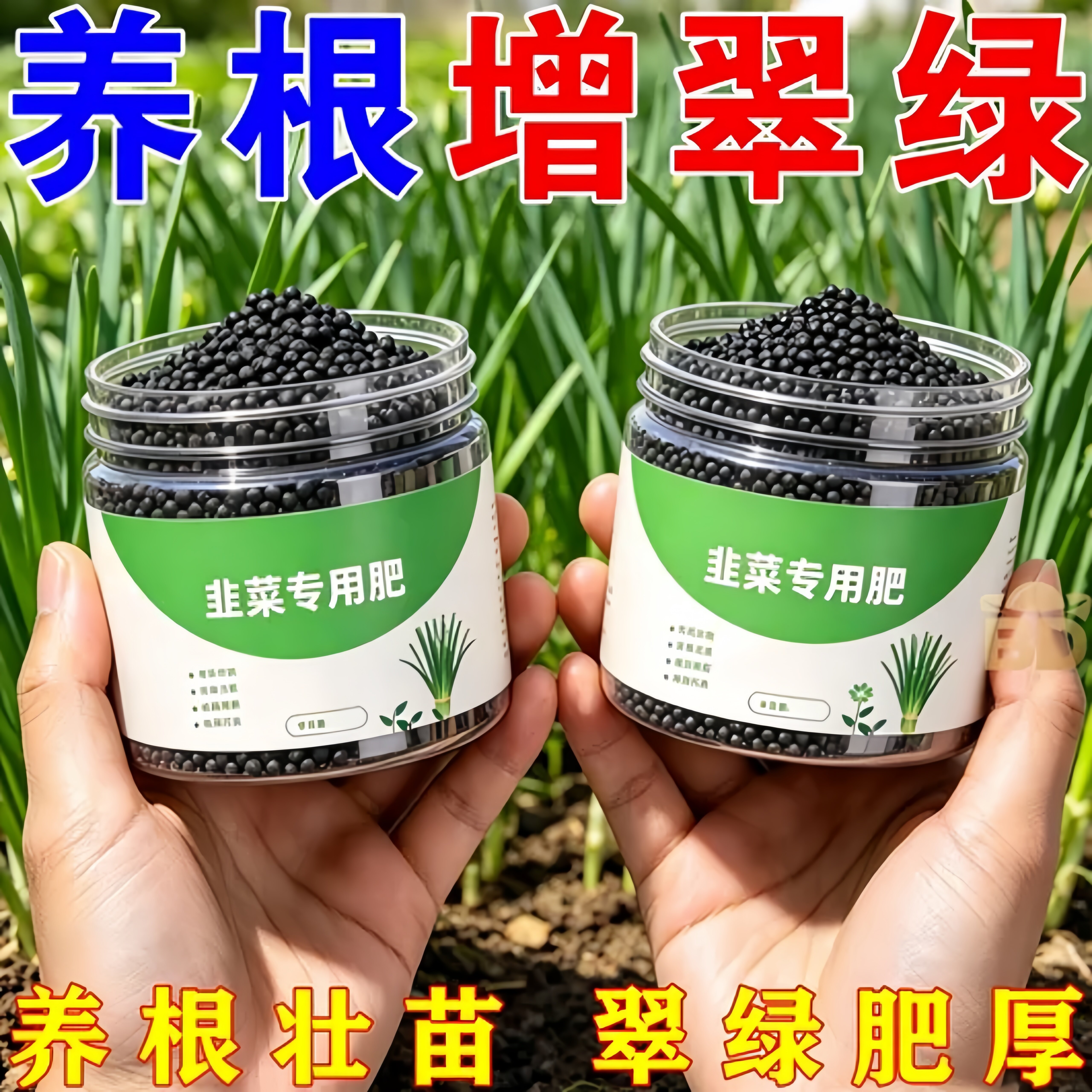 韭菜进口专用肥韭菜粗又壮膨大素生根壮苗防黄叶干尖抗倒伏叶面肥