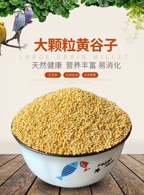 红黄谷子带壳小米虎皮牡丹玄凤中小型鹦鹉文鸟雪鸽鸟粮鸟食鸟饲料