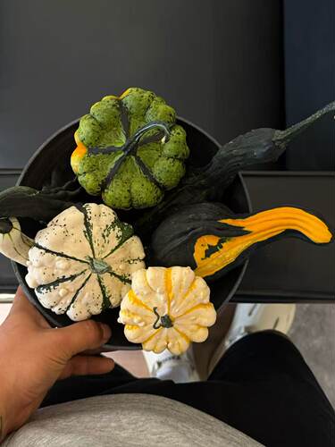 墨西哥七彩疙瘩葫芦一物一拍