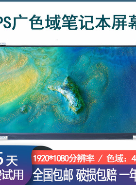 神舟战神K650D K670D K610D/C Z6 Z8 Z7/M 高分IPS笔记本液晶屏幕