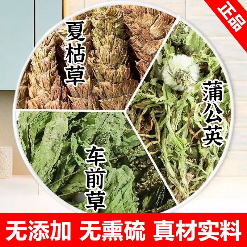 车前草夏枯草蒲公英中药材夏枯球正品白毛草夏菇泡水煮水泡茶功效