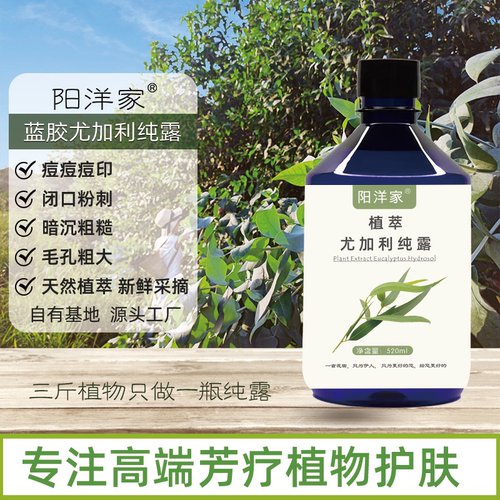 蓝胶尤加利纯露520ml痘痘痘印毛孔闭口粉刺暗黄平油脂喷雾爽肤水