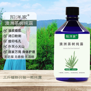 澳洲茶树纯露520ml闭口痘痘粉刺平衡油脂喷雾爽肤水湿敷水阳洋家