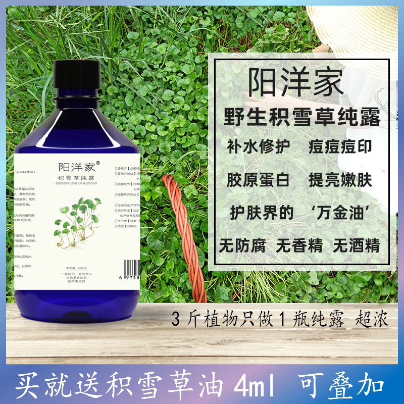 阳洋家野生积雪草纯露500ml修护痘痘血丝痘印提亮补水喷雾爽肤水 阳洋家芳香密语 淘优券