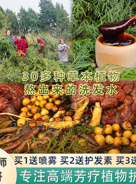 (一款熬出来的洗发水）30味本草人参何首乌草本精油洗发水侧柏叶~