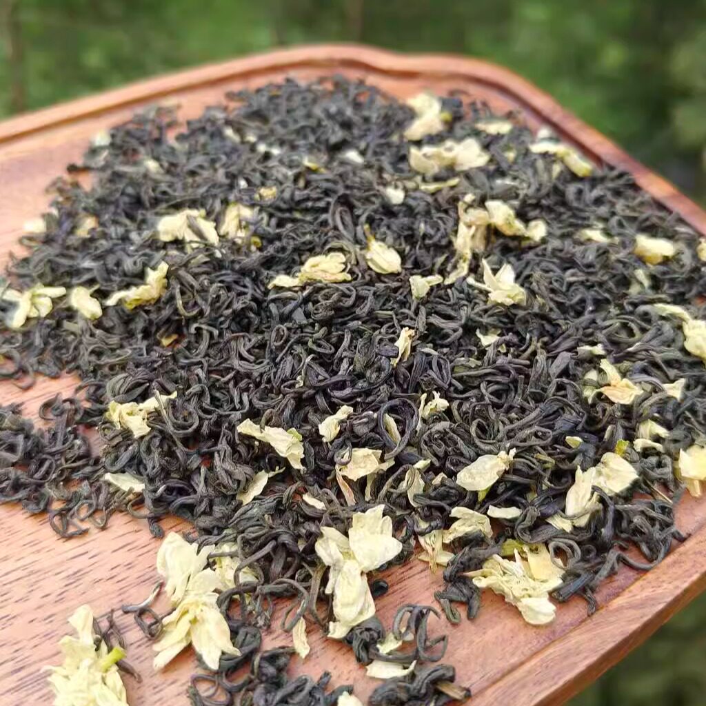 早春口粮茶茉莉花茶绿茶飘雪茉莉花清香味美高山云雾嫩芽碧雪