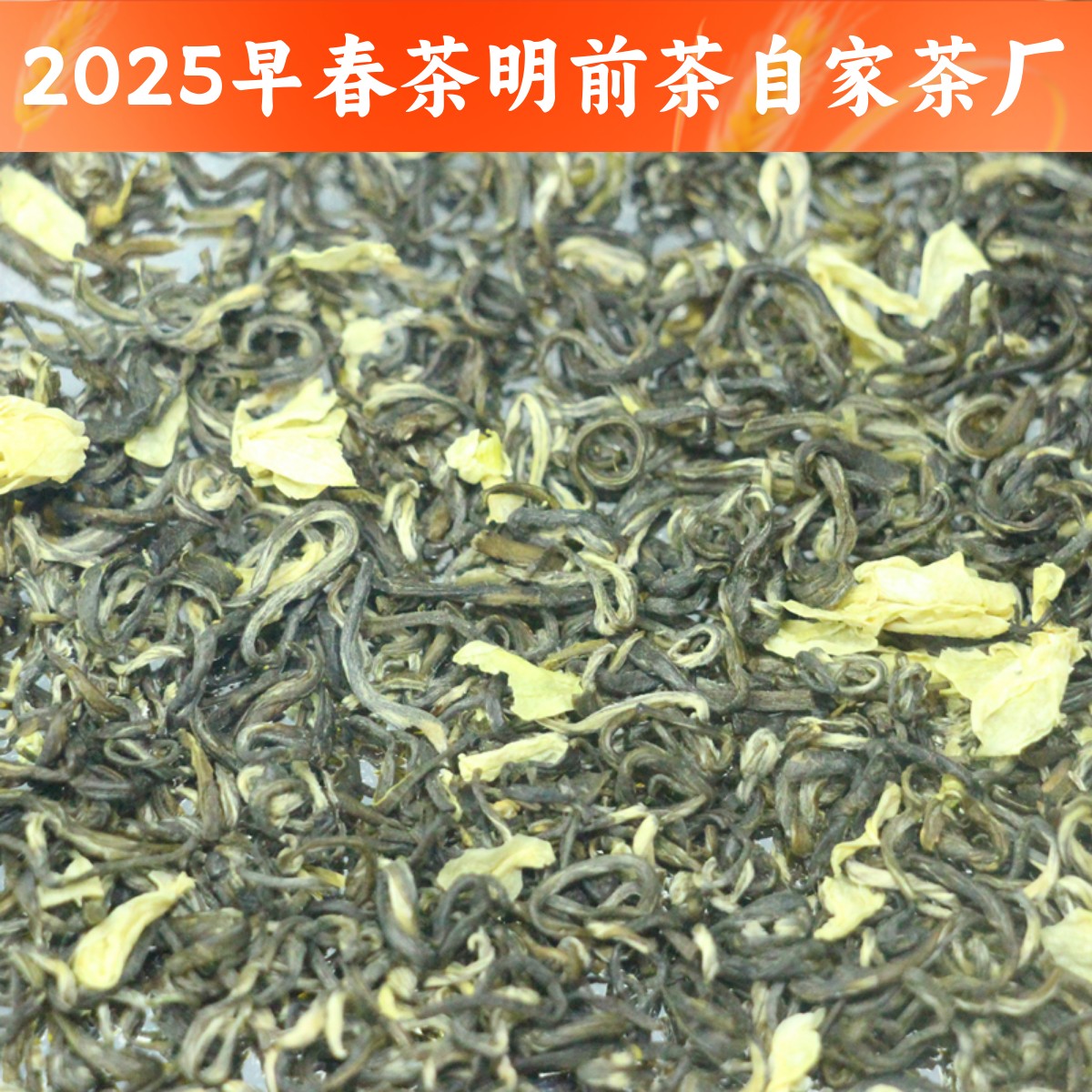 自家厂家早春茶叶茉莉花茶绿茶碧潭飘雪全芽头高等级茉莉花清香味