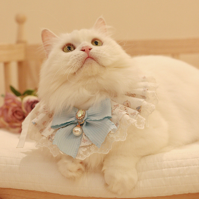猫咪项圈可爱公主风蕾丝围脖铃铛