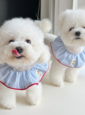 宠物口水巾猫咪狗狗通用布偶约克夏防脏脖套卡通弹力可爱围脖