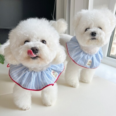 宠物可爱围脖口水巾猫狗通用