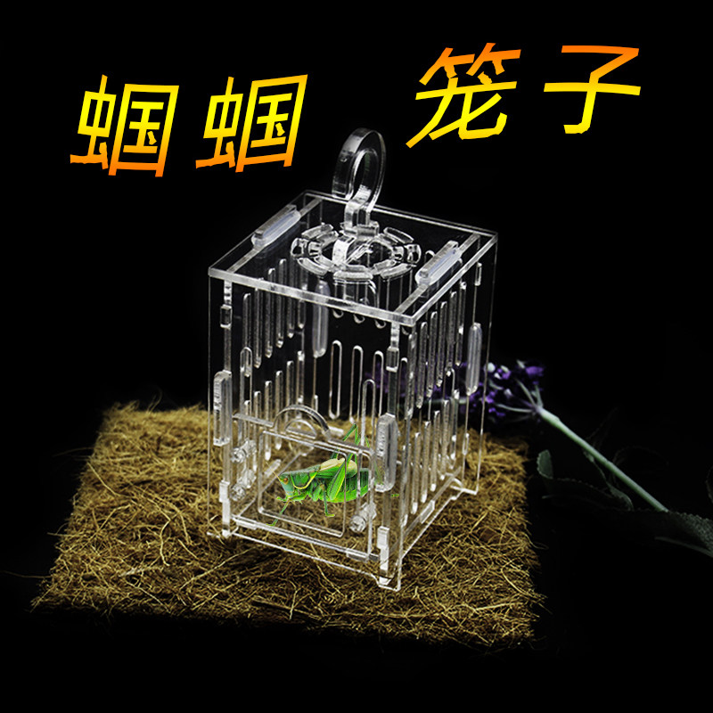 蛐蛐笼子蝈蝈笼蟋蟀笼蚂蚱蝴蝶笼鸣虫用具爬虫笼子透明亚克力笼子,宠物/宠物食品及用品,爬宠缸/箱,淘宝优惠券,粉丝福利购,淘宝优惠卷