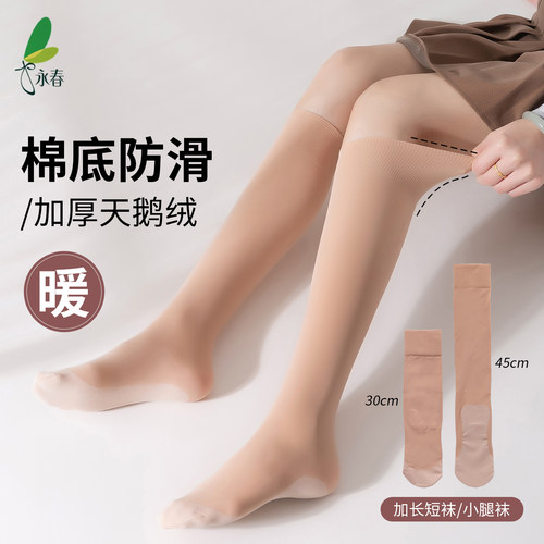 永春3417小腿袜女春秋加厚天鹅绒加长短袜棉底防滑运动袜防滑不勒