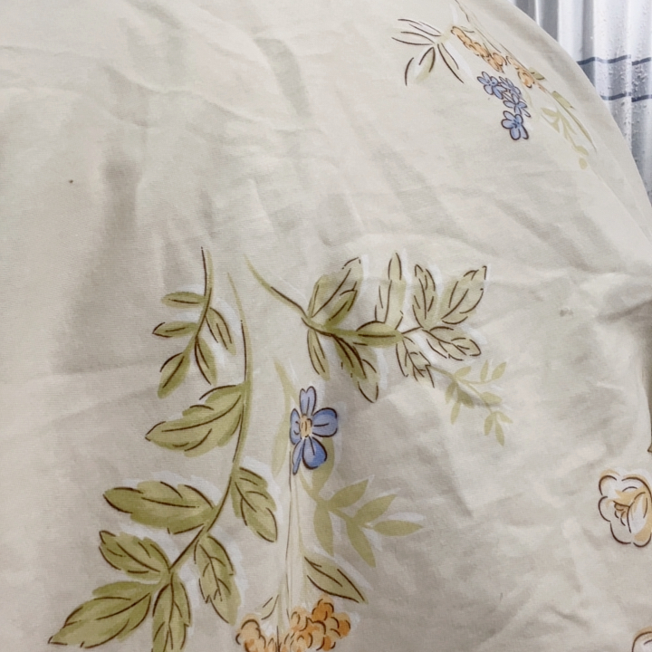 全棉磨毛布料3.9*2.4米