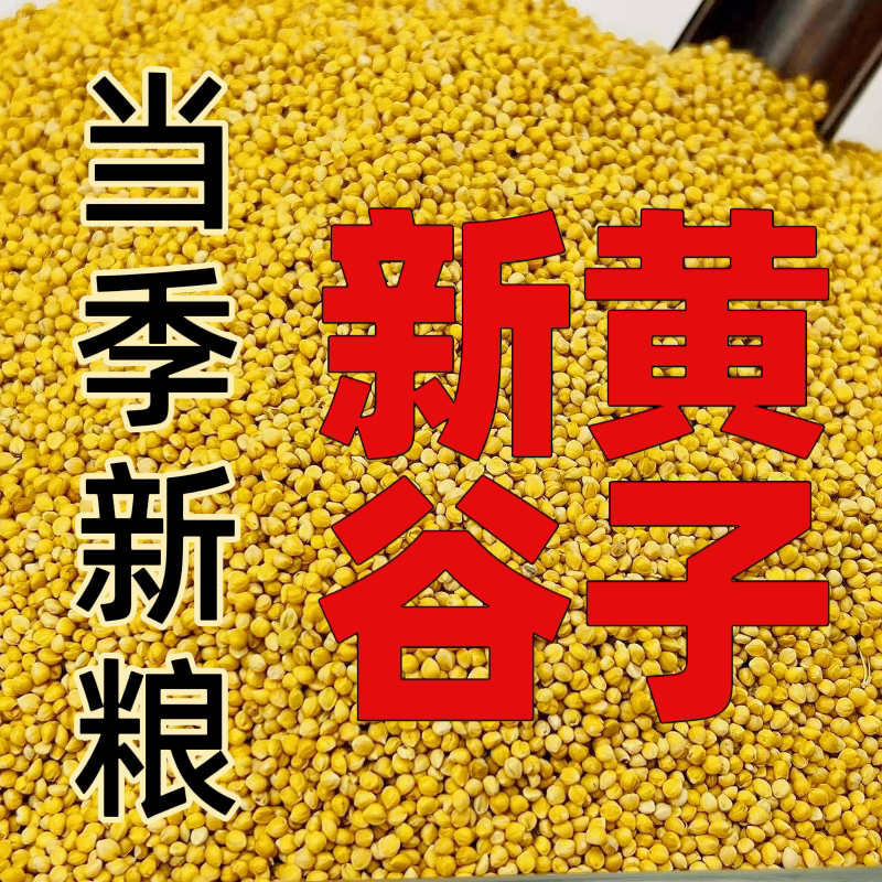 2024年新黄谷子虎皮鹦鹉鸟食玄凤文鸟带壳小米鸟谷子牡丹黄鸟粮