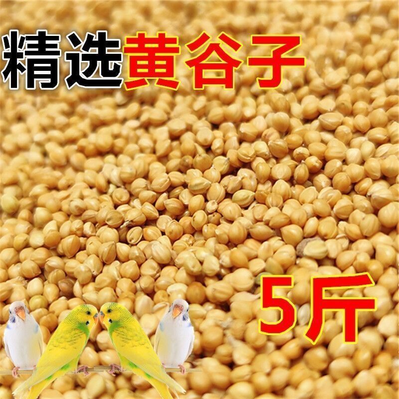 新黄谷子鸟食虎皮鹦鹉饲料玄凤谷子牡丹粮食文鸟带壳小米黄雀鸟粮