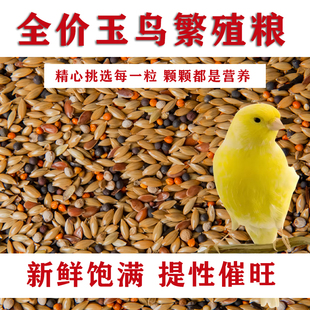 玉鸟黄雀营养鸟食金丝雀混合鸟粮麻料金翅芙蓉鸟金青黄巧饲料正品