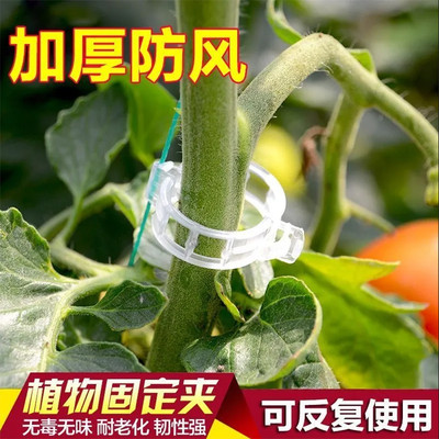 吊秧夹子枝条固定夹瓜秧植物秧苗温室圆口茎杆落蔓嫁接番茄绑蔓夹