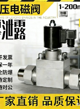低压高压电磁阀 螺纹4MPA6.3MPA10MPA16MPA20MPA30MPa 气体液体用