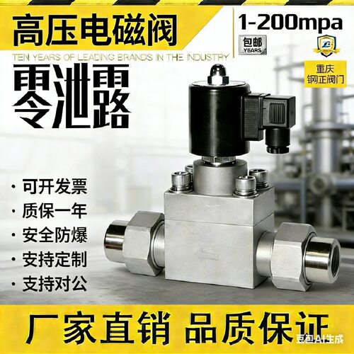 高压防爆电磁阀316L水气油用24V