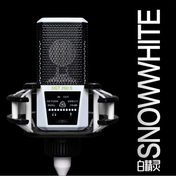 ewitt/莱维特 dgt 260内置声卡电容话筒麦克风套装 电脑手机直播