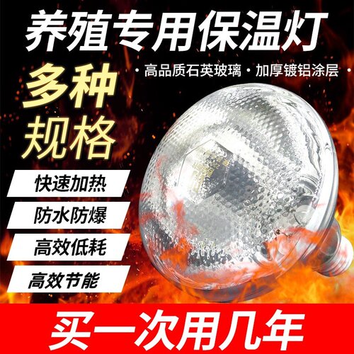 小鸡养殖防爆仔猪节能育雏保温灯