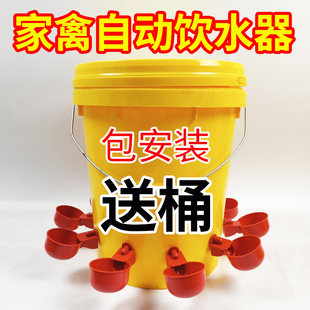 小鸡喝水饮水器喂鸡神器养鸡水碗鸭鹅鸽子食槽家禽鸡用自动喂水器